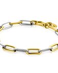 ZINZI Bicolor Zilveren Ovale Schakelarmband 6mm Breed 20cm ZIA2668 - PansiteNederland.nl