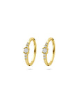 14K geelgouden oorringen zirkonia 12 mm - 4034478