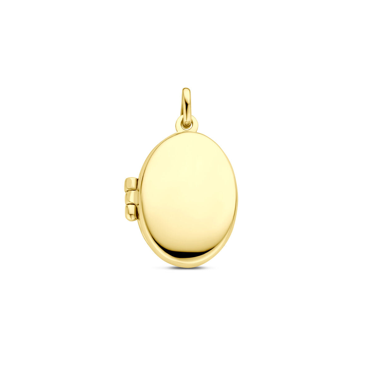 Fantasy Collection Medaillon ovaal 19 mm 14K geelgoud hanger