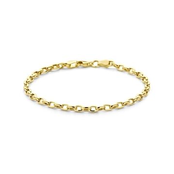 Fantasy Collection 9K armband anker 3,1 mm 18,5 cm 9K geelgoud