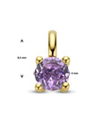 14K geelgoud hanger amethist 4026736 - PansiteNederland.nl