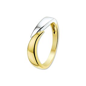 Fantasy Collection 14K Bicolor Gouden Ring 4205405