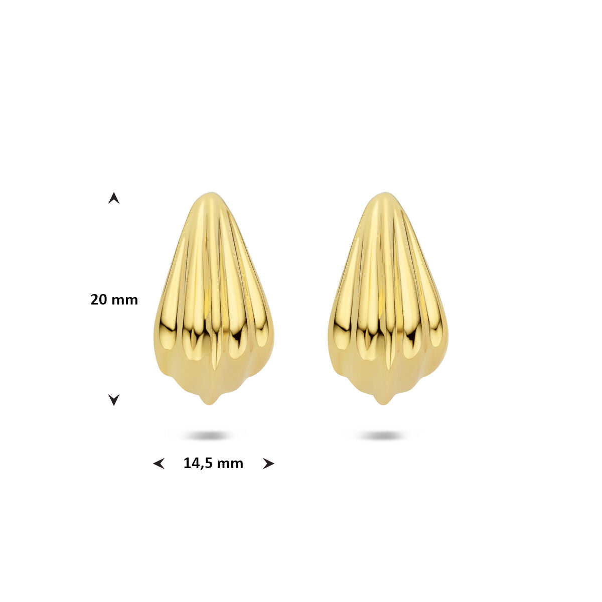 Fantasy Collection Oorbellen 20 mm 1 micron zilver verguld