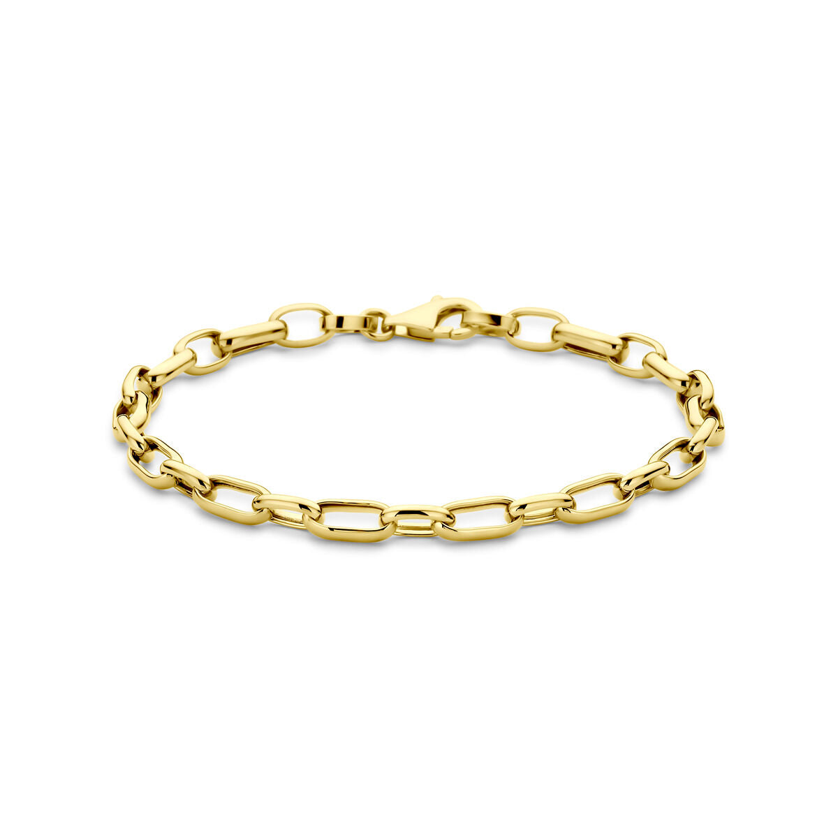 Fantasy Collection Armband anker 4,8 mm 19 cm 14K geelgoud