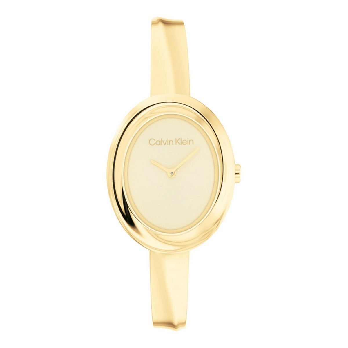 Calvin Klein Dameshorloge CK25100056 Goudkleurig 26 mm