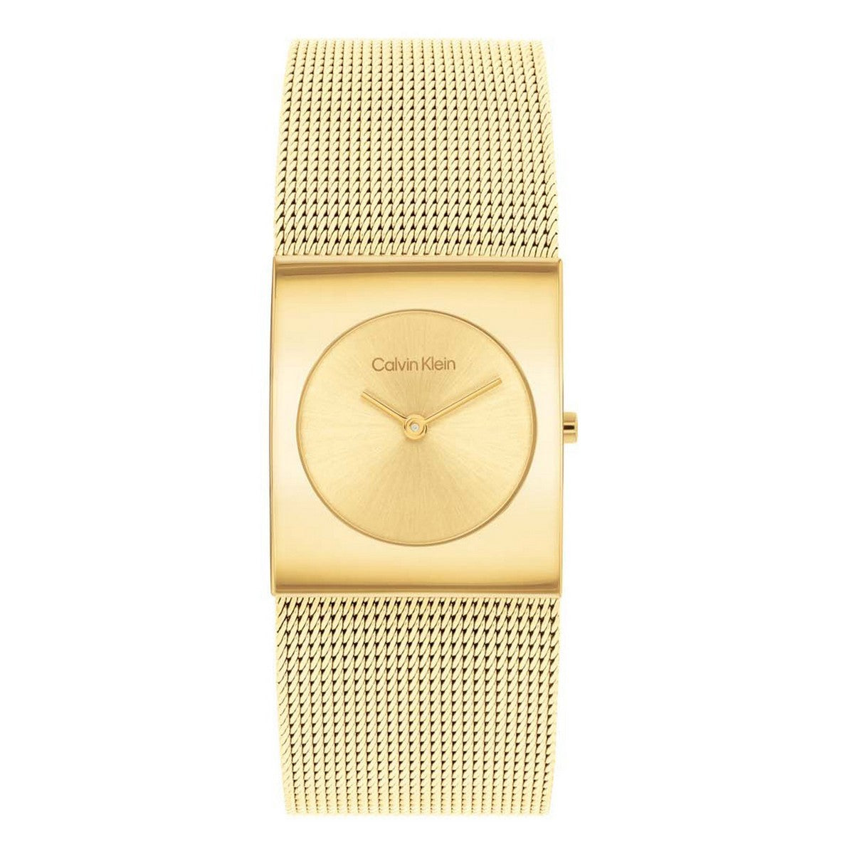 Calvin Klein Dameshorloge CK25100062 Goudkleurig 24 mm