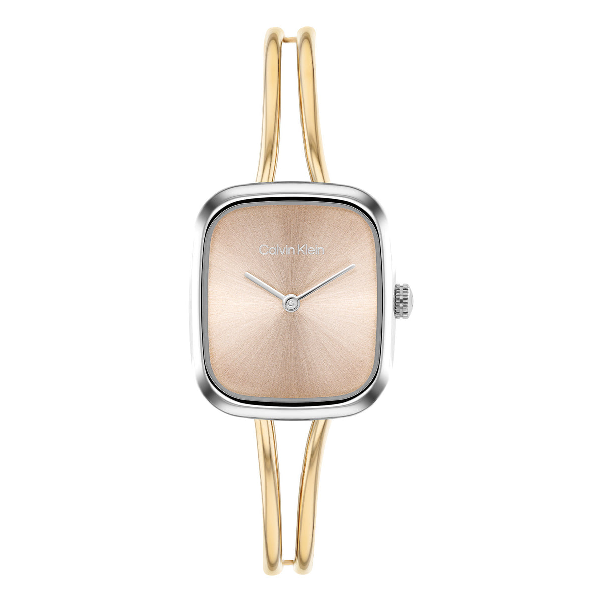 Calvin Klein Dames Horloge CK25100134 24 mm Zilverkleurig
