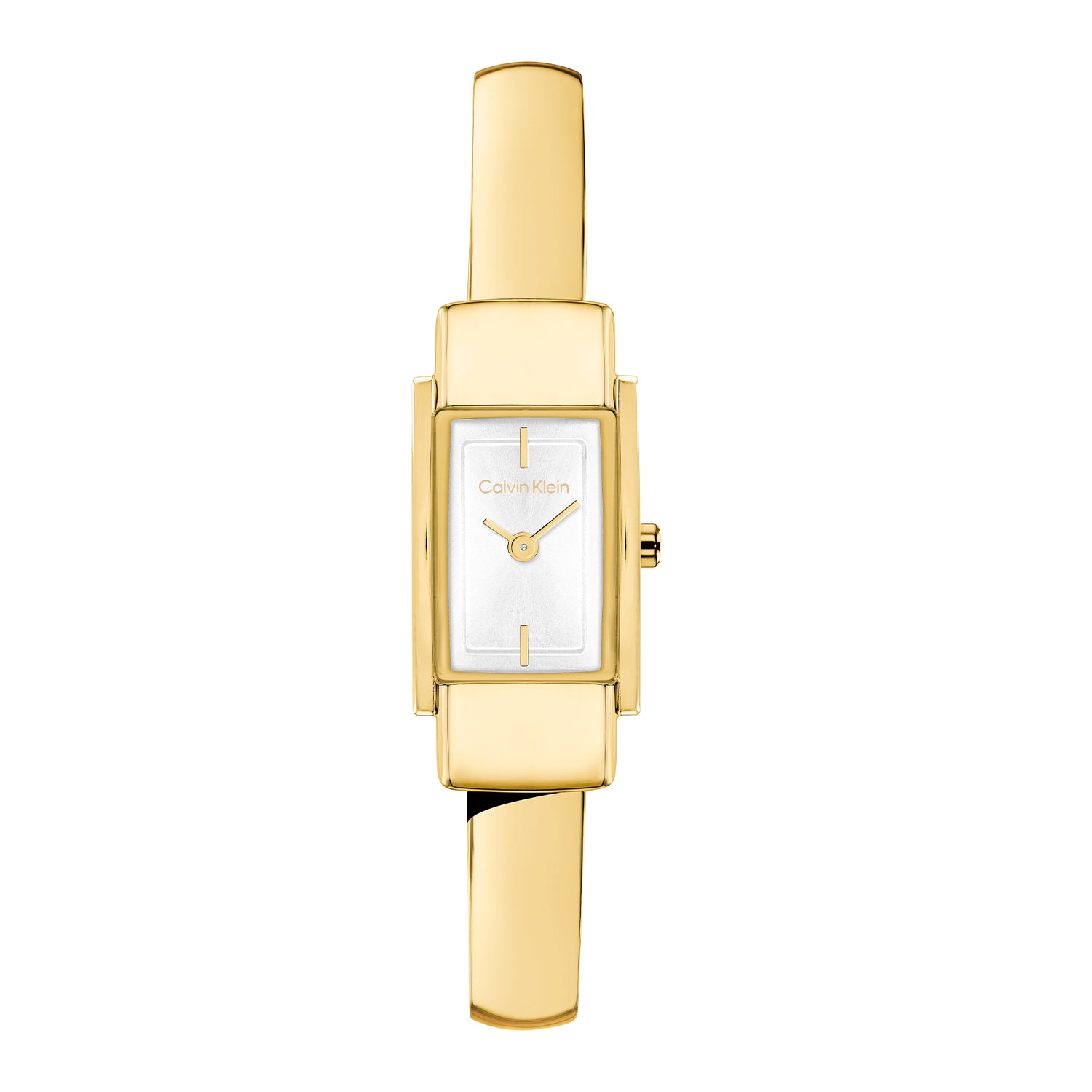 Calvin Klein CK25100184 Dames Horloge 15mm
