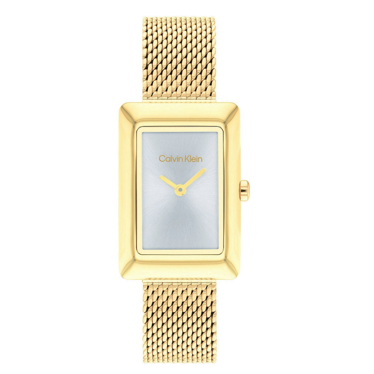 Calvin Klein Dameshorloge CK25200396 Goudkleurig 22 mm