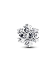 Pandora Sneeuwvlok Bedel 794249C01 – Zilver