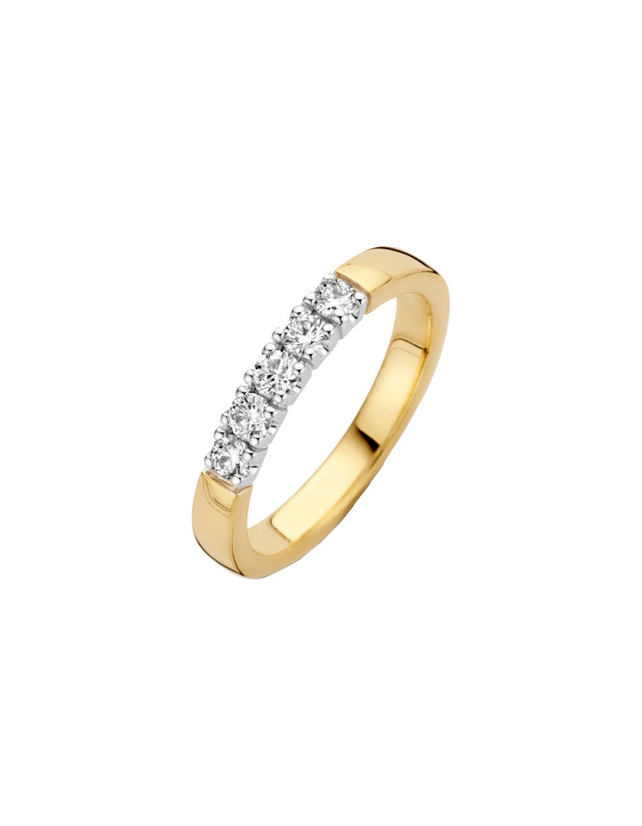 Briljant 14K Bicolor Goud Memoire Diamant Ring 5 x 0.05 ct