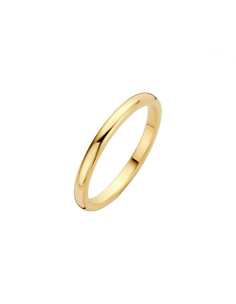 Briljant 14K Geelgoud Sider Diamant Ring