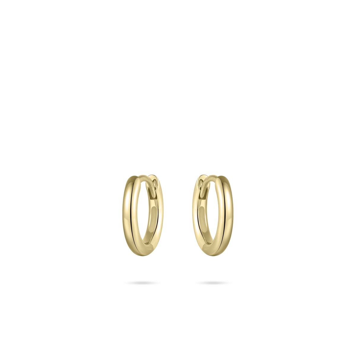 Gisser Oorbellen 14K Geelgoud – VGKCL2/12