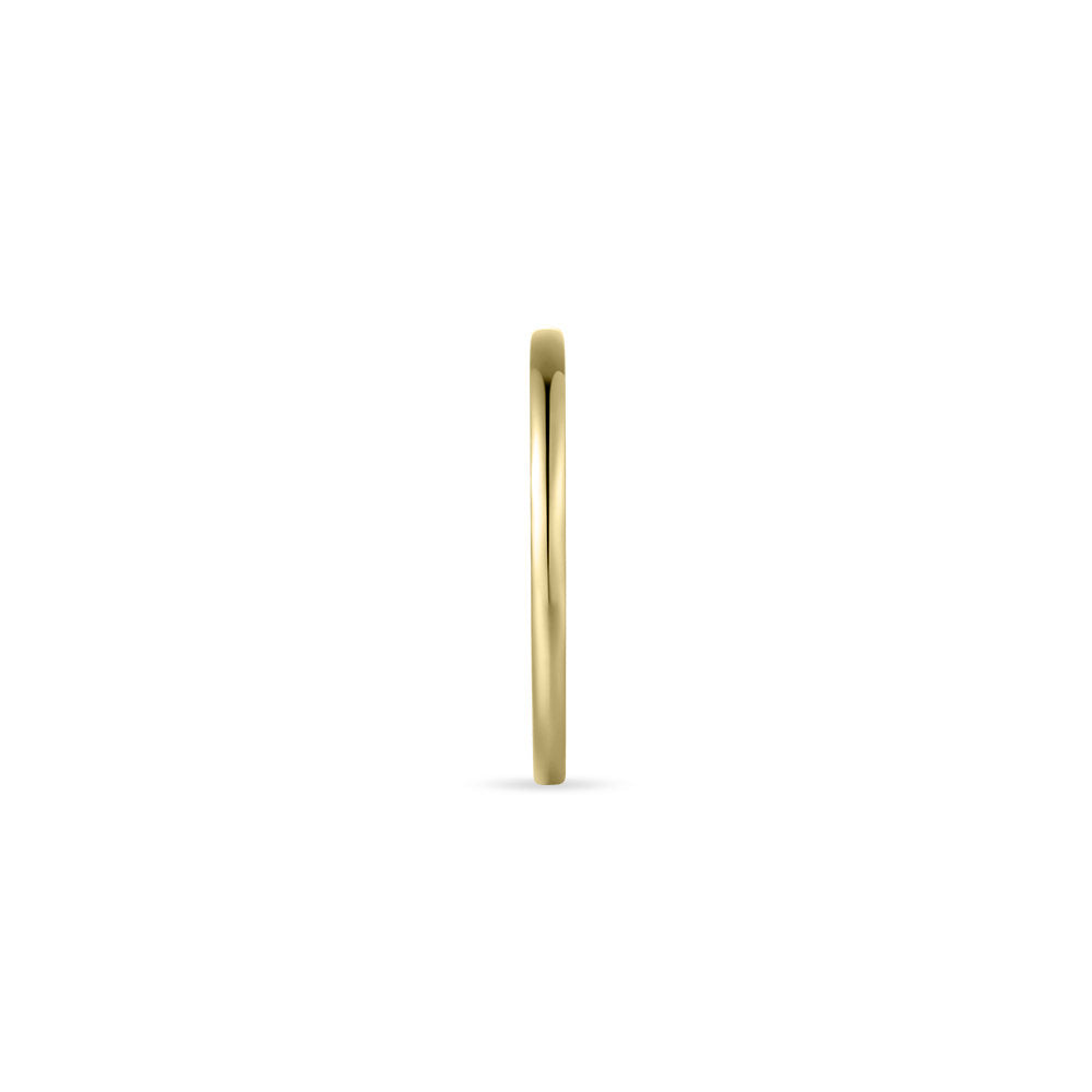Gisser Ring 14K Geelgoud – VGR010 – foto 3