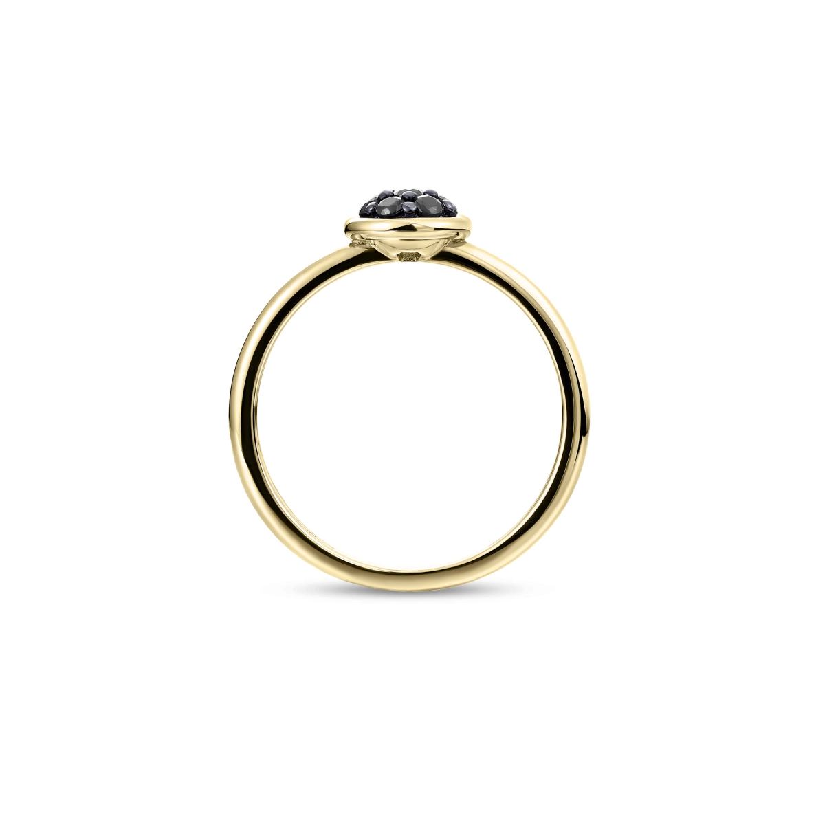 Gisser Ring 14K Geelgoud Zirkonia Zwart – VGR050Z – foto 4