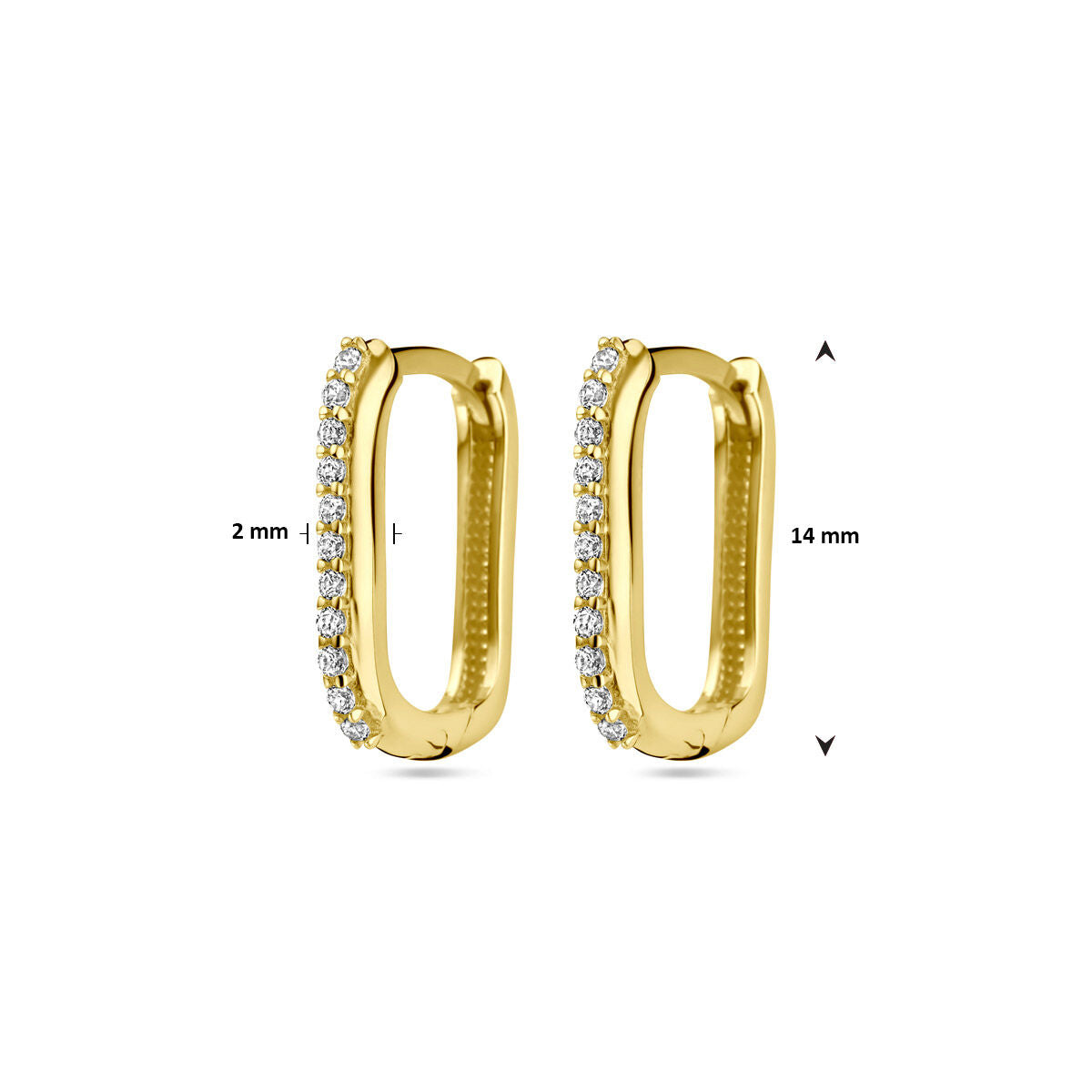 Fantasy Collection Oorbellen zirkonia 14K geelgoud