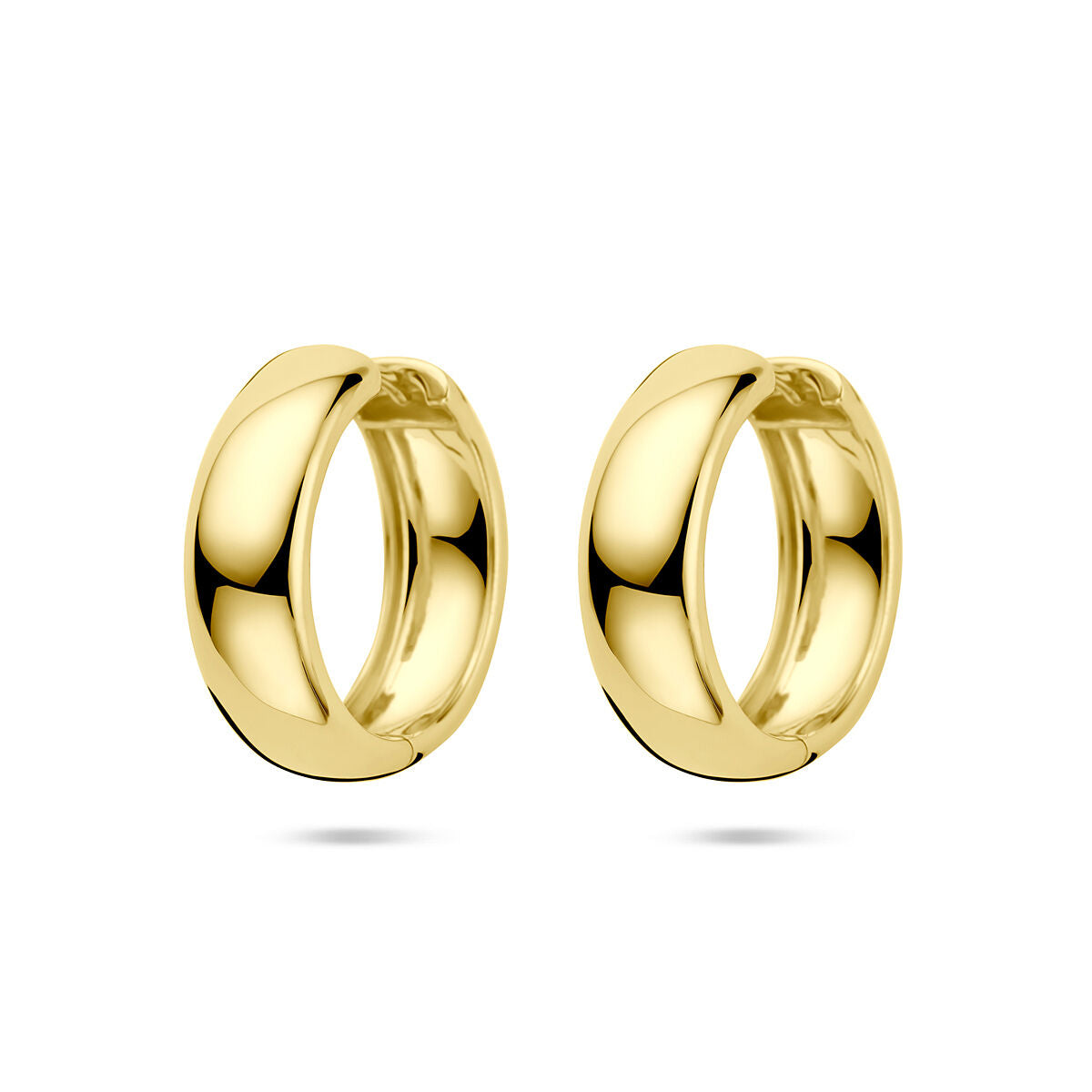 Fantasy Collection Oorbellen 25 mm 1 micron zilver verguld
