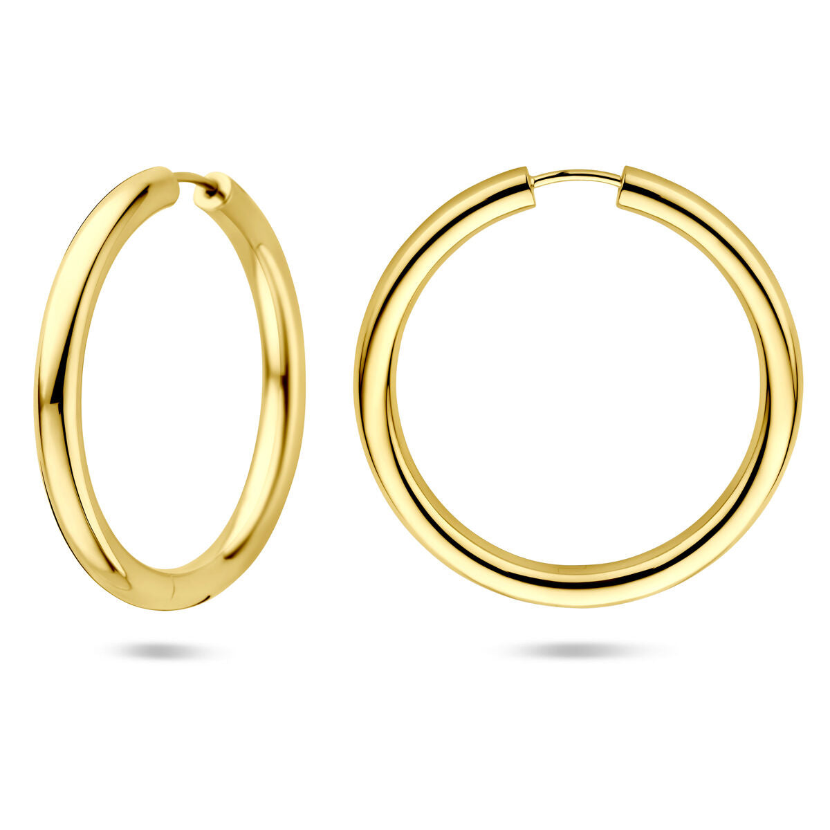 Fantasy Collection Oorbellen 39 mm 1 micron zilver verguld