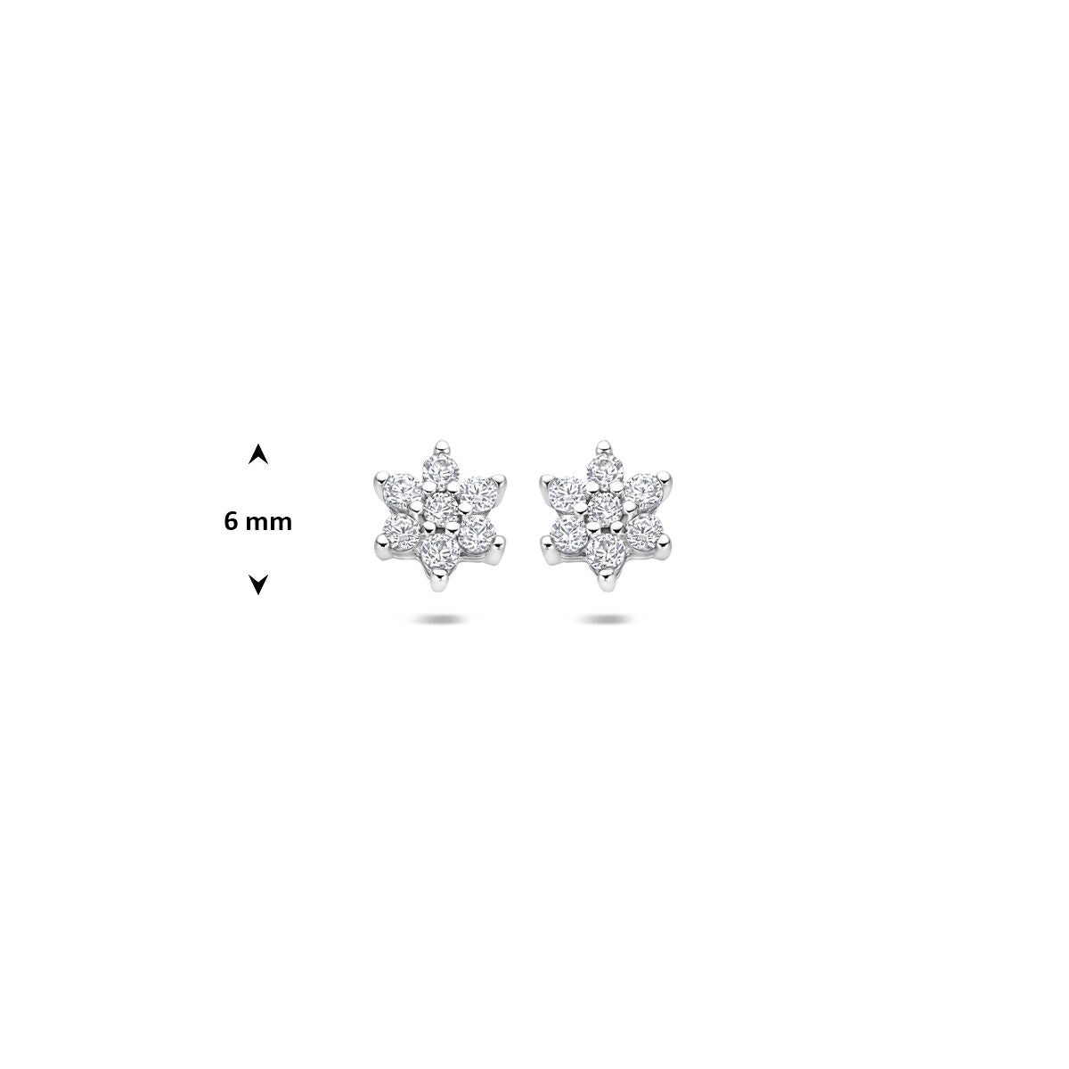 Oorbellen ster zirkonia halo 6 mm zilver