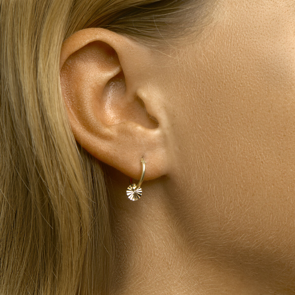 Fantasy Collection Oorbellen rondje gediamanteerd 14K geelgoud