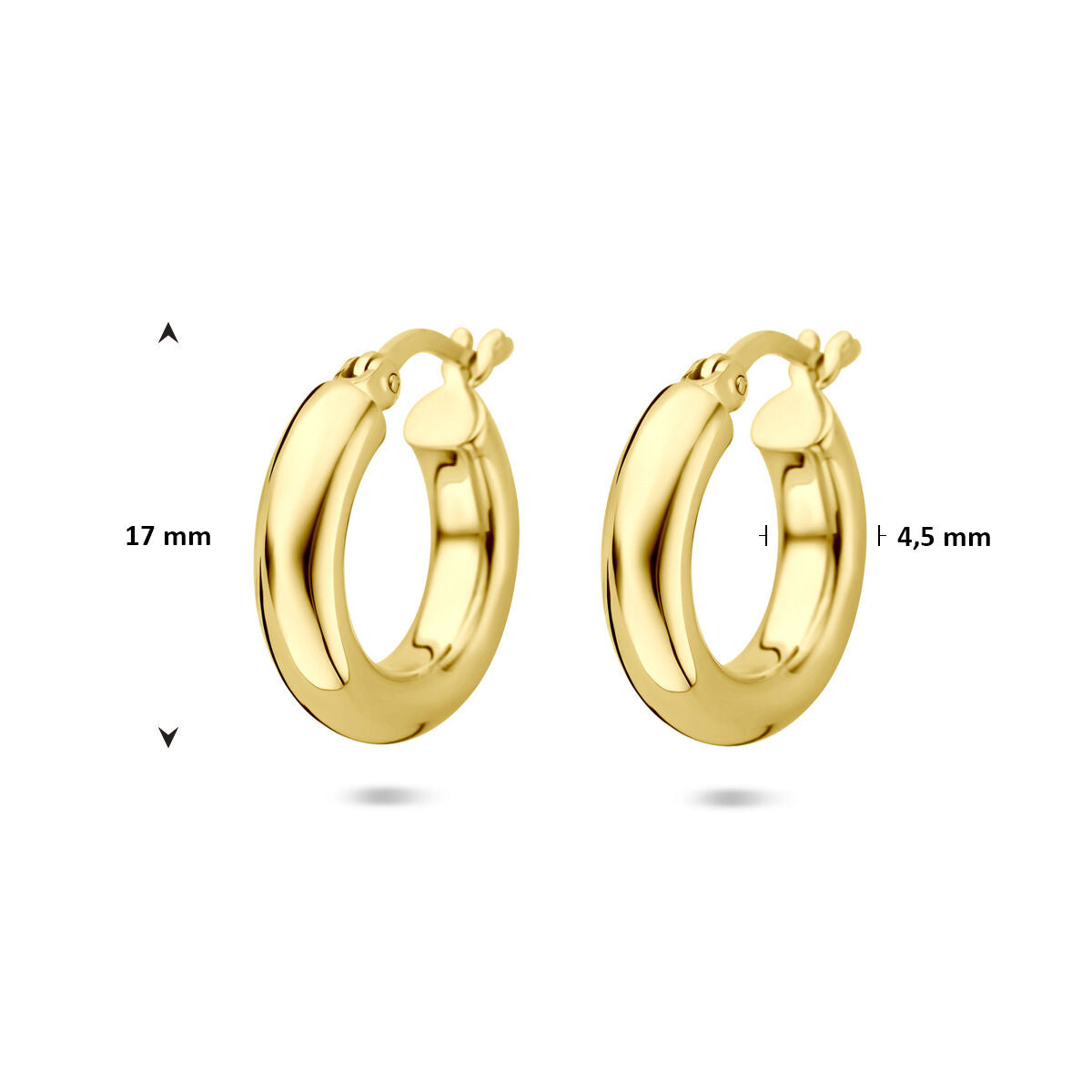 Fantasy Collection Oorbellen 17 mm 1 micron zilver verguld