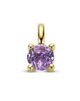 14K geelgoud hanger amethist 4026736 - PansiteNederland.nl