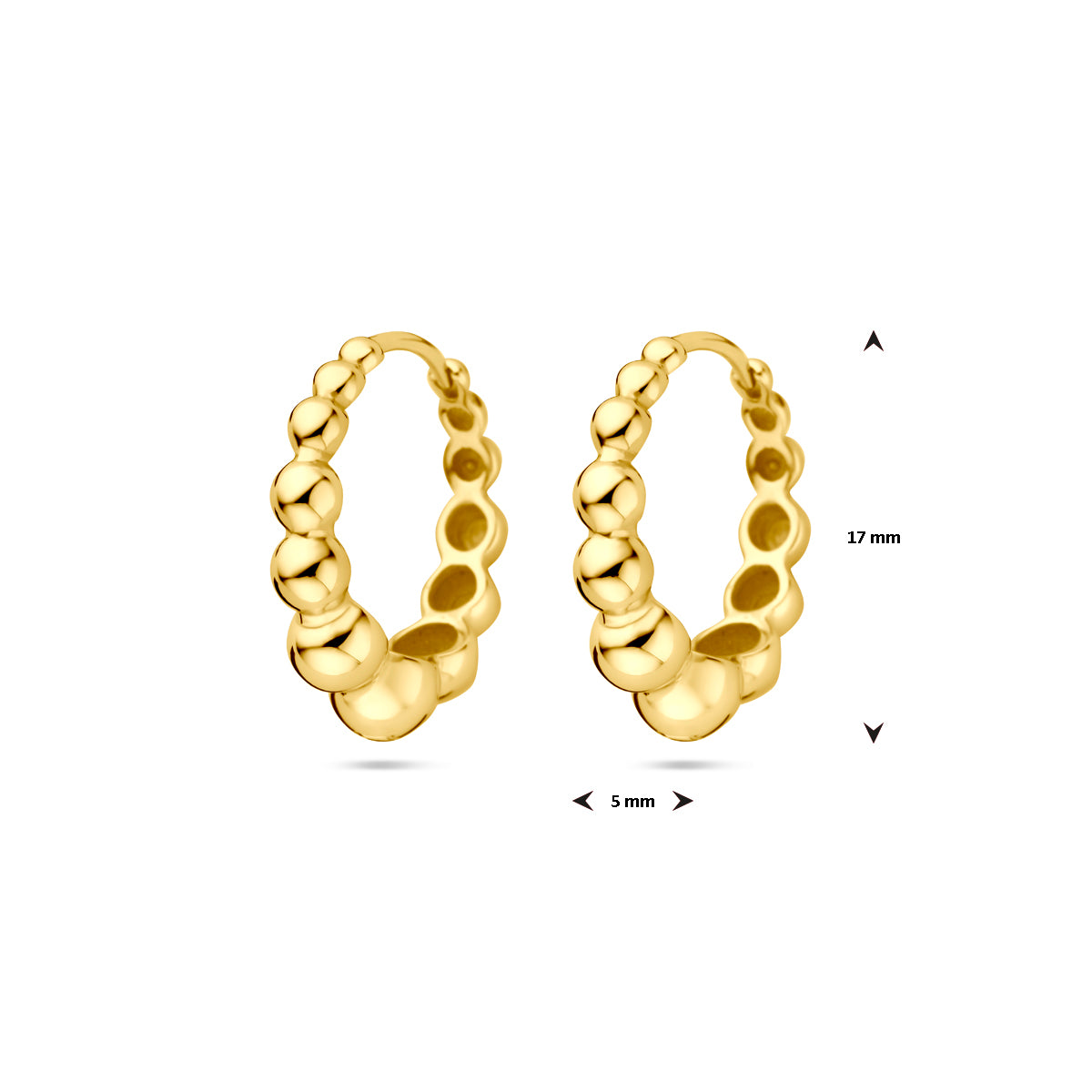 Fantasy Collection Oorbellen 17 mm 1 micron zilver verguld