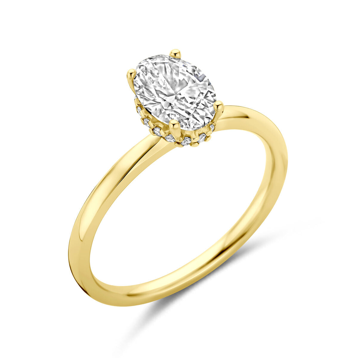 Fantasy Collection 14K Geelgouden Diamanten Ring 4036215