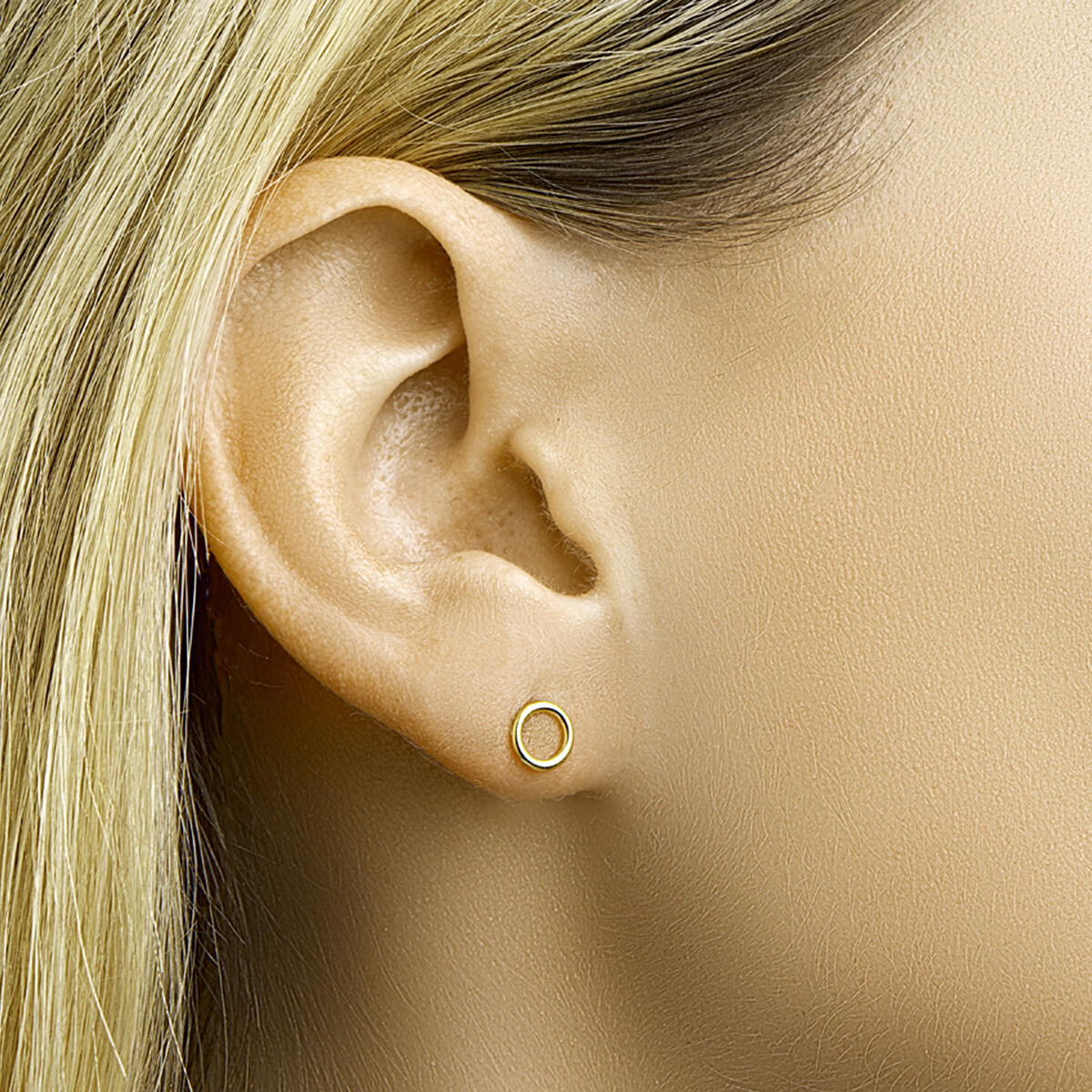 Fantasy Collection Oorbellen rondje 6 mm zilver verguld