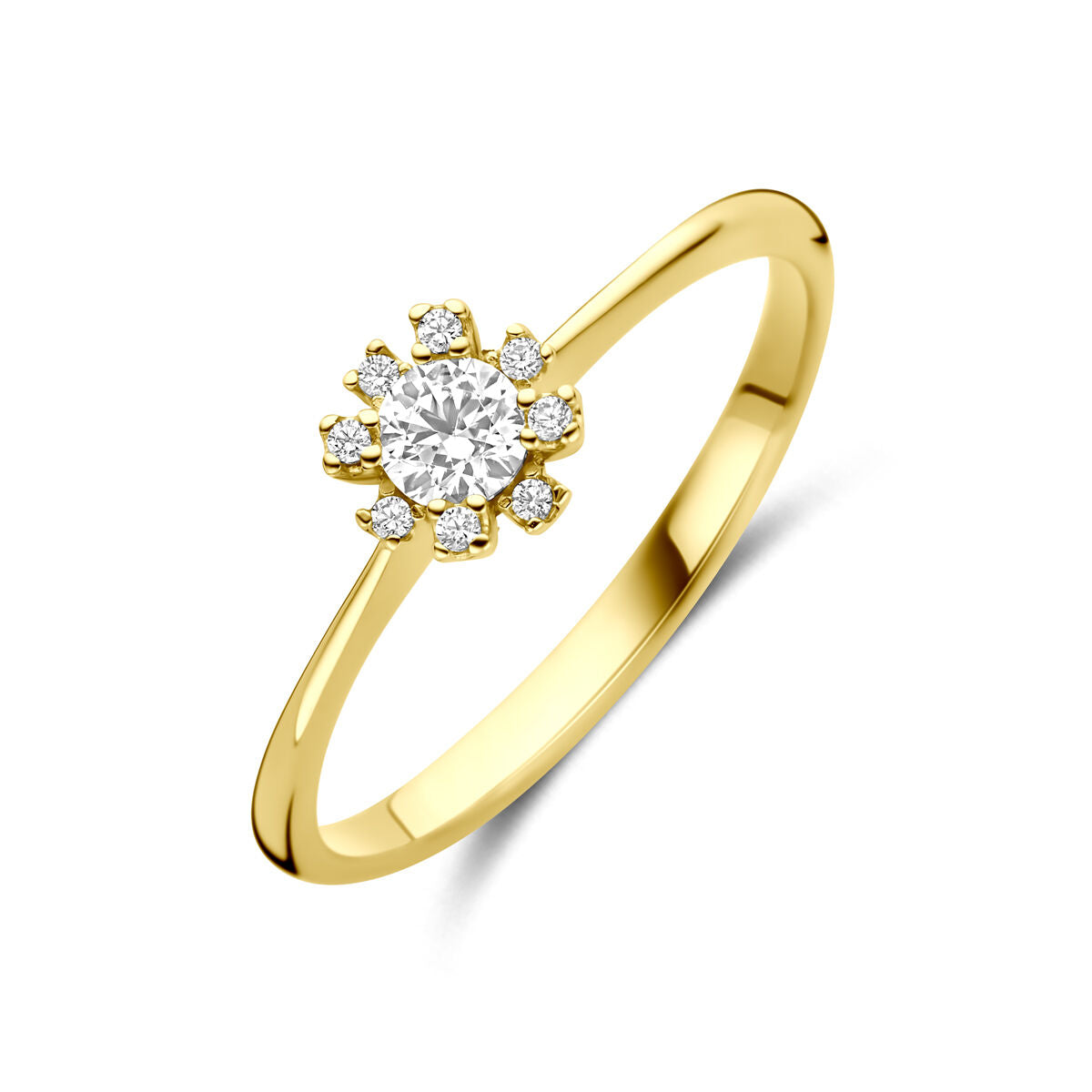 Fantasy Collection Ring rozet zirkonia 14K geelgoud