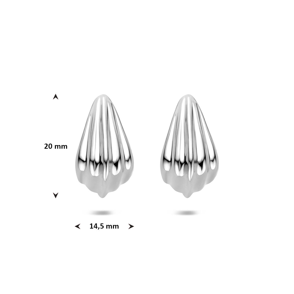 Fantasy Collection Oorbellen 20 mm zilver