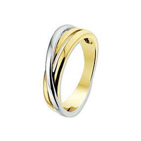 Fantasy Collection 14K Bicolor Gouden Ring 4205550