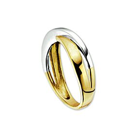 Fantasy Collection 14K Bicolor Gouden Ring 4205501