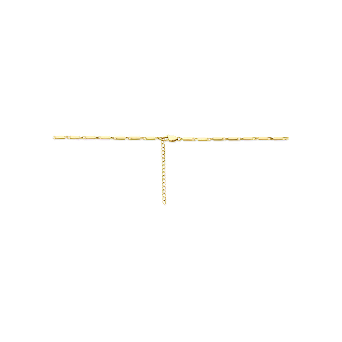 Fantasy Collection Collier ion plating 2,5 mm 55 + 5 cm edelstaal