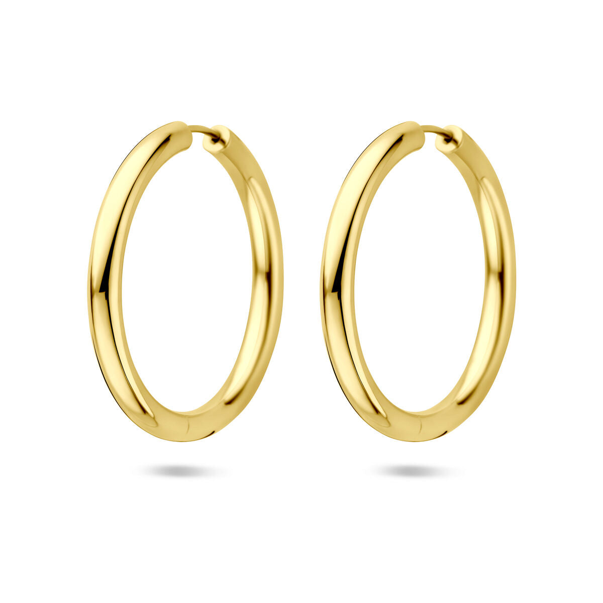 Fantasy Collection Oorbellen 39 mm 1 micron zilver verguld