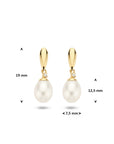 9K geelgouden oorhangers parel en zirkonia 19 mm - 8000475