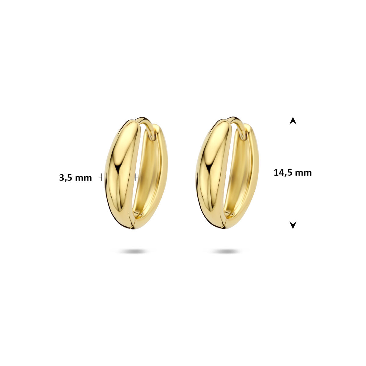 Fantasy Collection Oorbellen 14,5 mm 1 micron zilver verguld