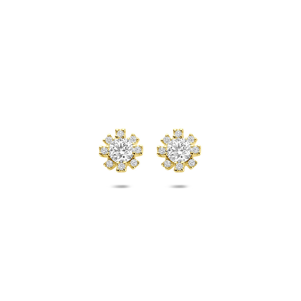 Fantasy Collection Oorbellen rozet zirkonia 6 mm 14K geelgoud