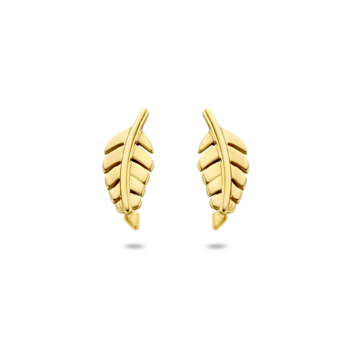 Fantasy Collection Oorbellen veer 8 mm 14K geelgoud