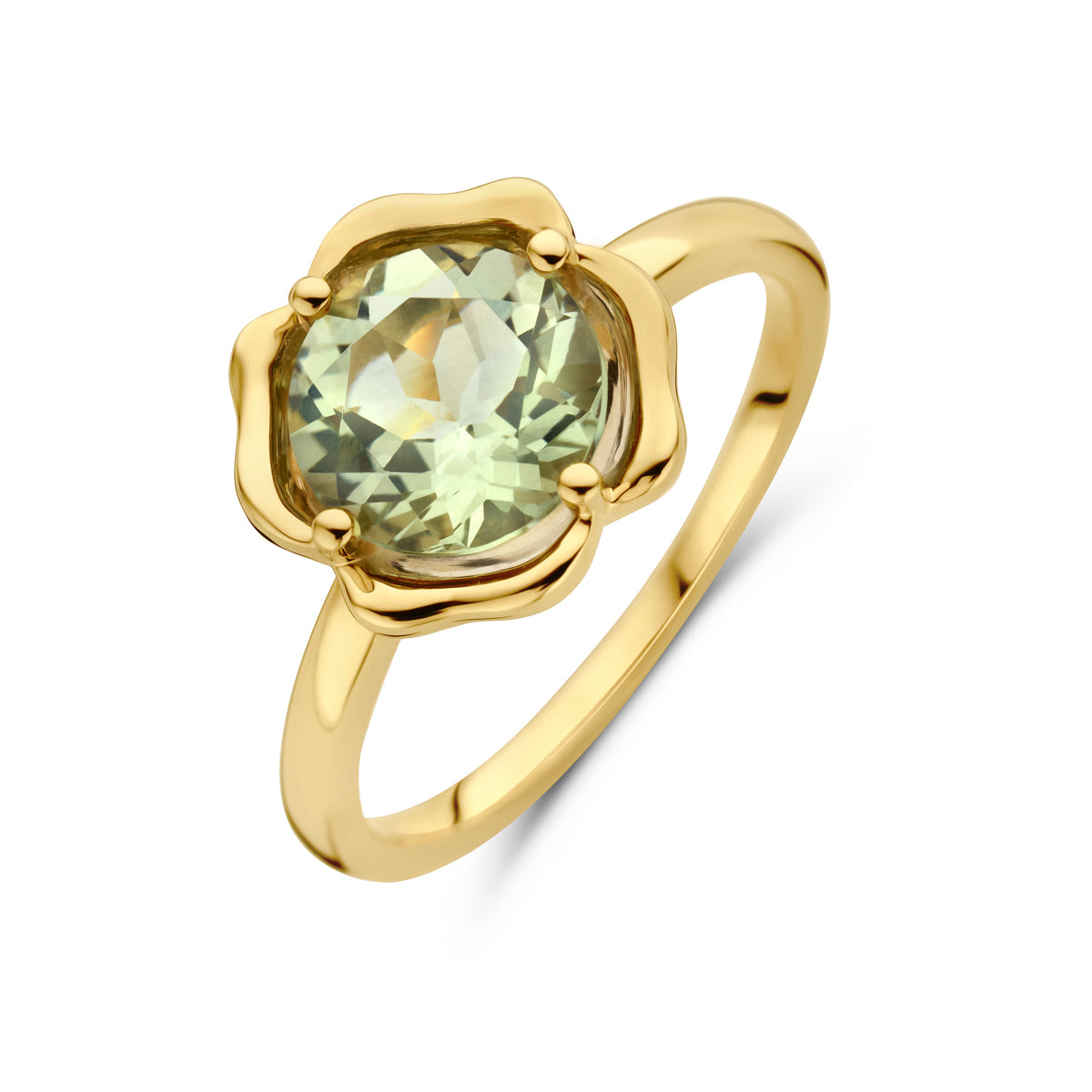 Fantasy Collection Ring amethist 14K geelgoud