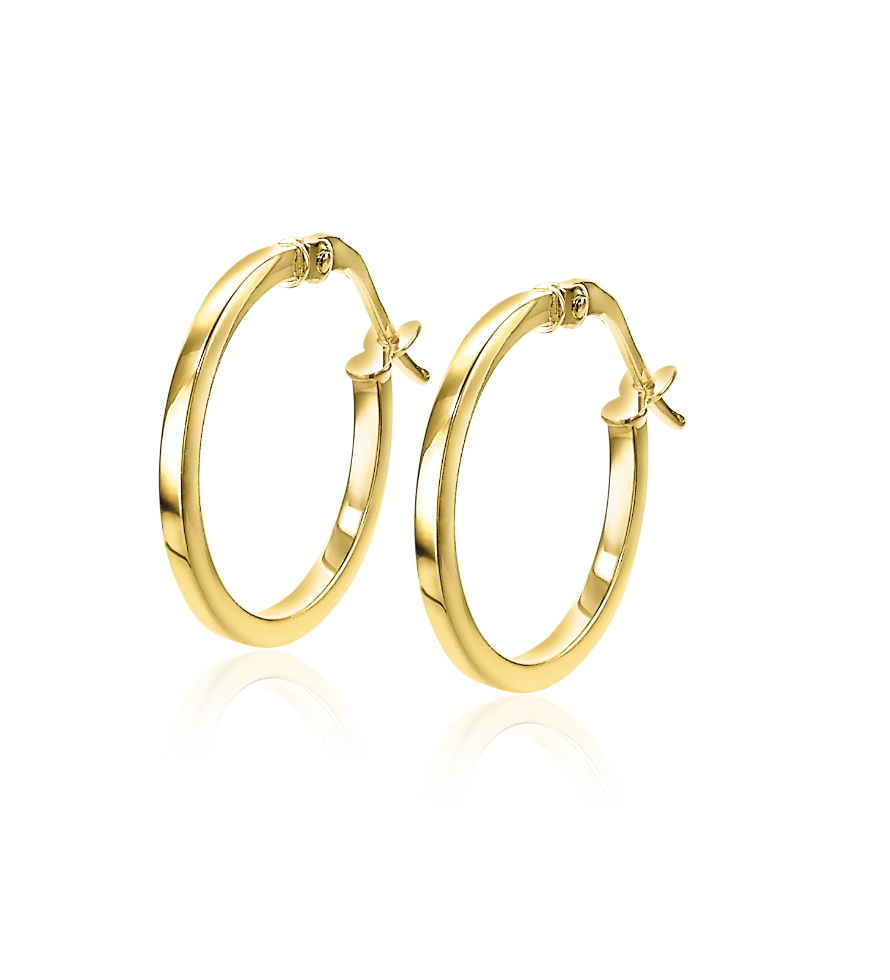 ZINZI 14K Gouden Oorbellen ZGO305