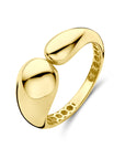 14K Geelgouden Ring 4033724 - PansiteNederland.nl