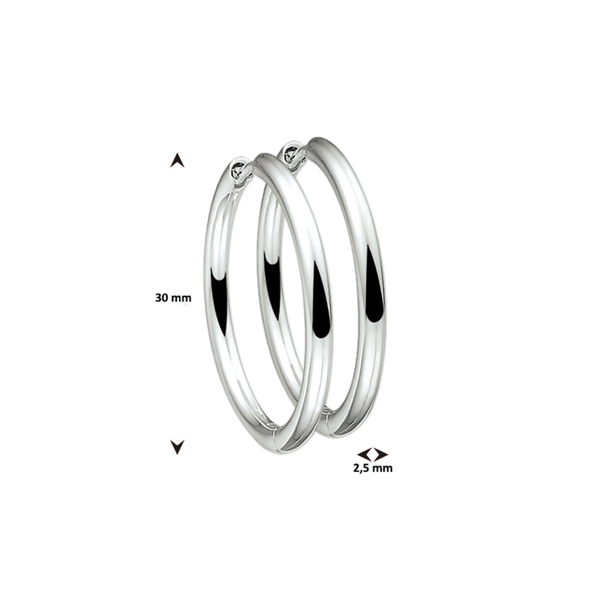 Fantasy Collection Oorbellen 2,5 mm rond zilver