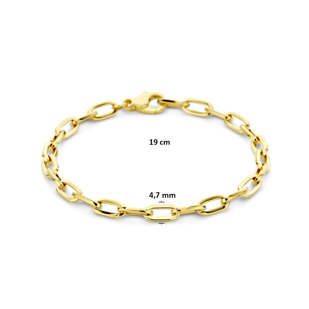 Fantasy Collection Armband anker 4,7 mm 19 cm 14K geelgoud