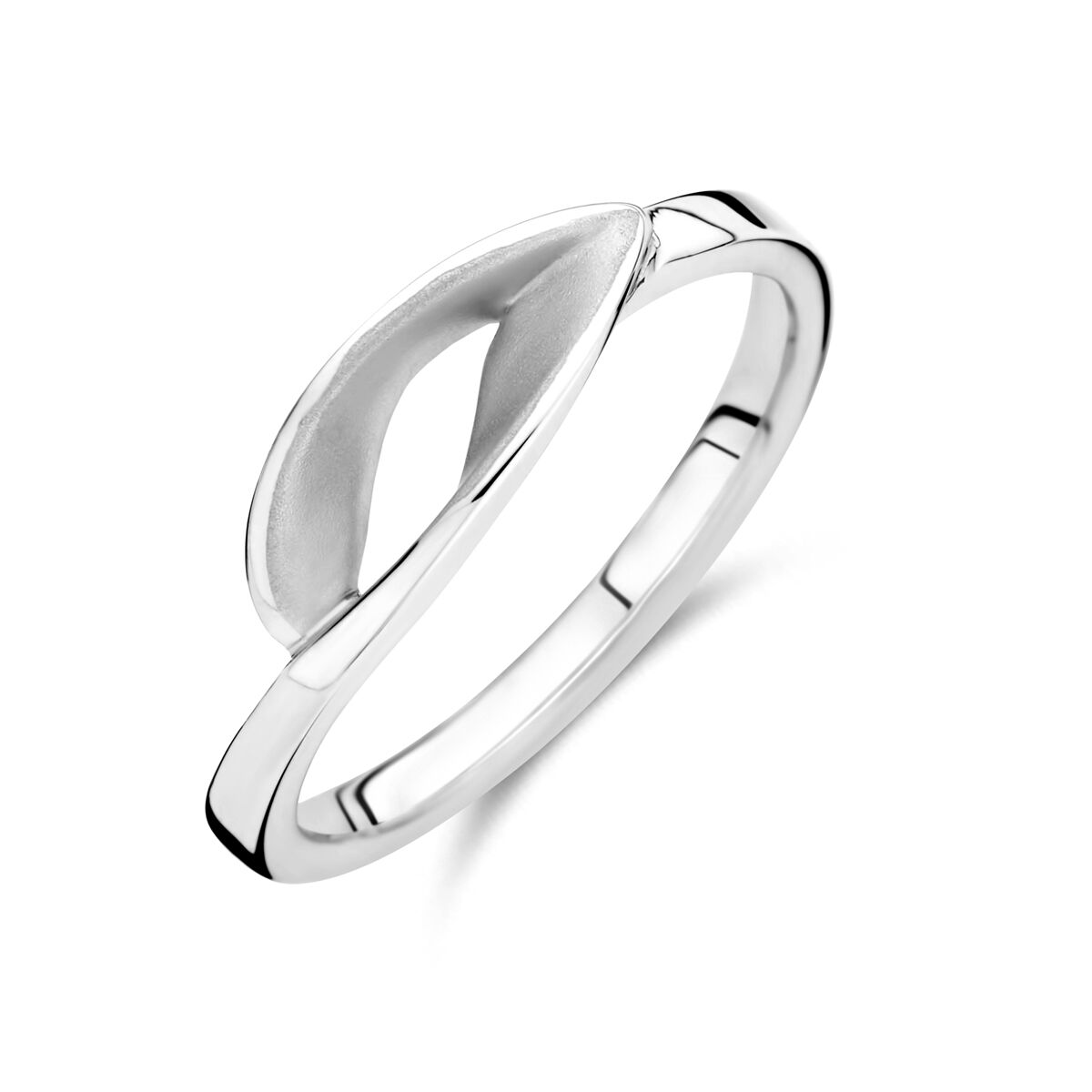 Fantasy Collection Ring poli/mat zilver