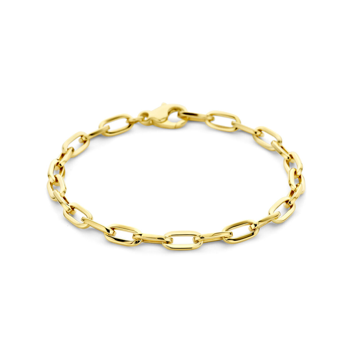 Fantasy Collection Armband anker 4,7 mm 19 cm 14K geelgoud