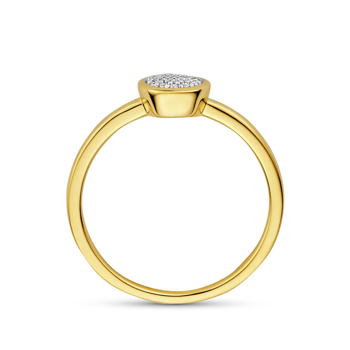 Fantasy Collection Ring diamant 0.06ct h si 14K geelgoud