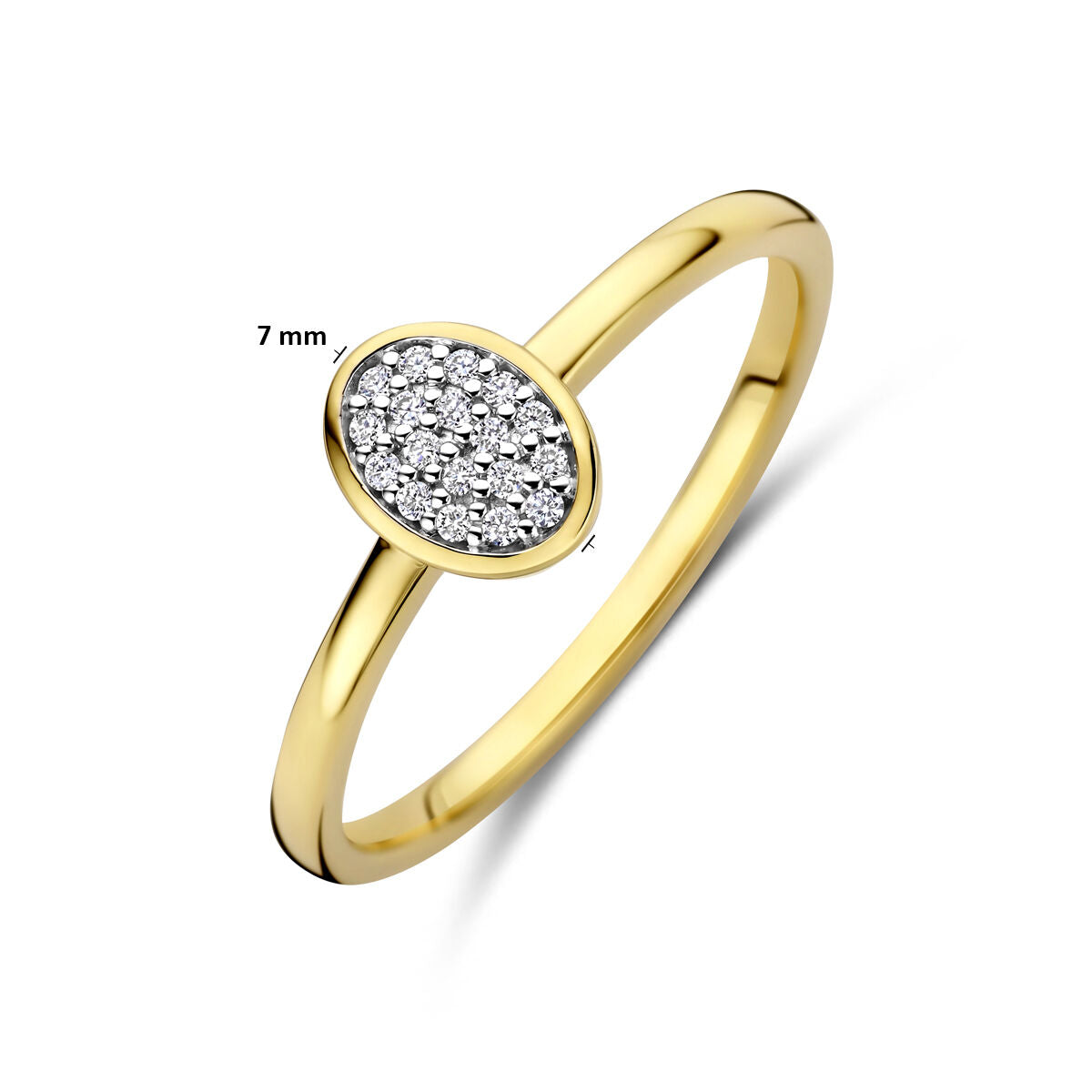 Fantasy Collection Ring diamant 0.06ct h si 14K geelgoud