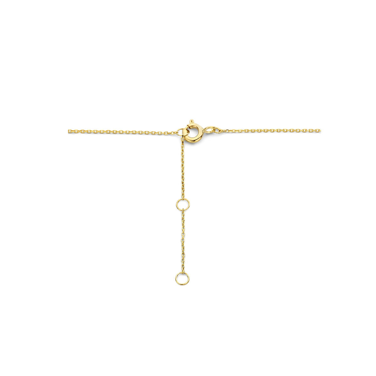 Fantasy Collection 9K collier klavertje 40 - 42 - 44 cm 9K geelgoud