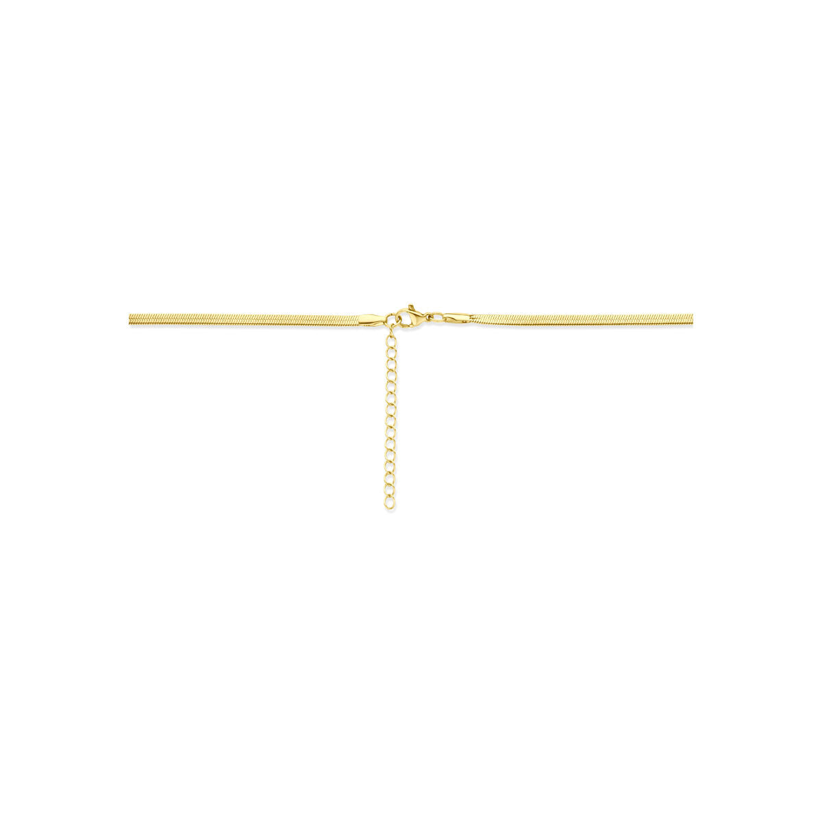 Fantasy Collection Collier omega ion plating 3,0 mm 40 + 5 cm edelstaal